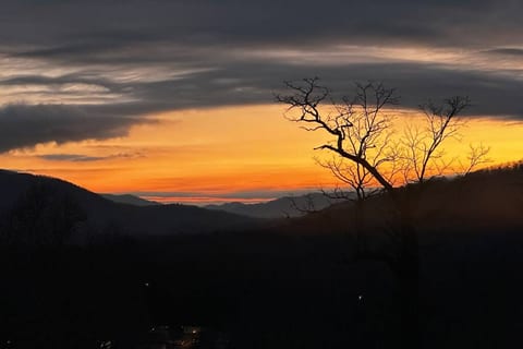 Asheville 7/4 Mansion, Views, Pool, Spa, Gameroom