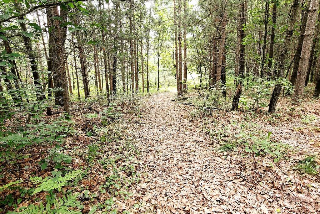Trails (there are lots) spread out over the 6acres Trails (there are lots) spread out over the 6acres - Bear Cove Escape - Lyndon Station