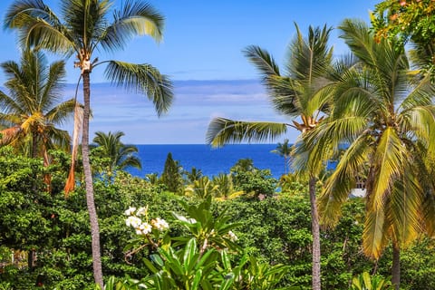 Keauhou Resort - Entire Ocean & Sunset View Condo, 2 Lanais, AC