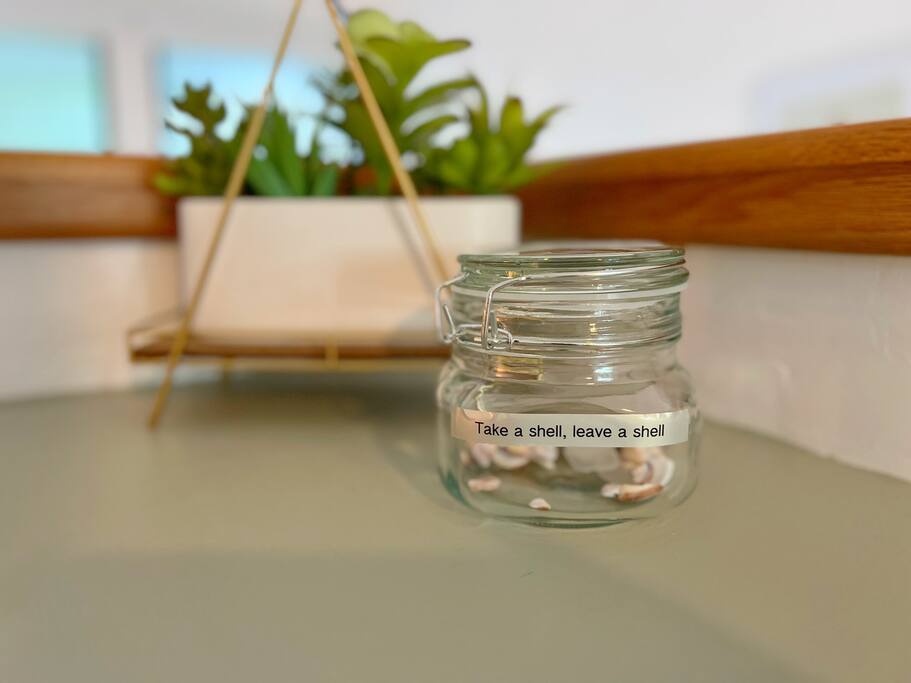 Add to our shell collection or take a few with you! - Oceanview Kona Condo | A/C, 2 Lanais, Near Golf - Kona