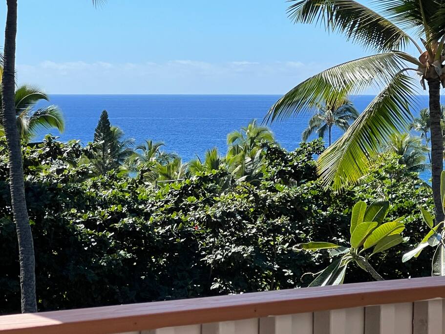 "Beautiful home with stunning views"-Susan, Washington - Oceanview Kona Condo | A/C, 2 Lanais, Near Golf - Kona