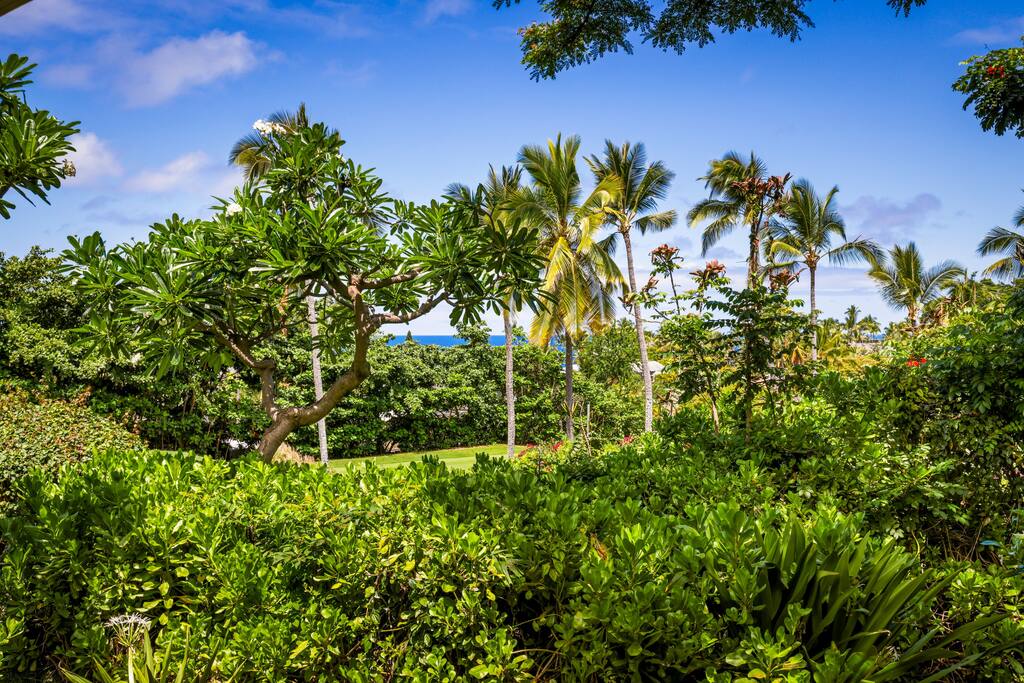 Ocean views from downstairs lanai. - Oceanview Kona Condo | A/C, 2 Lanais, Near Golf - Kona