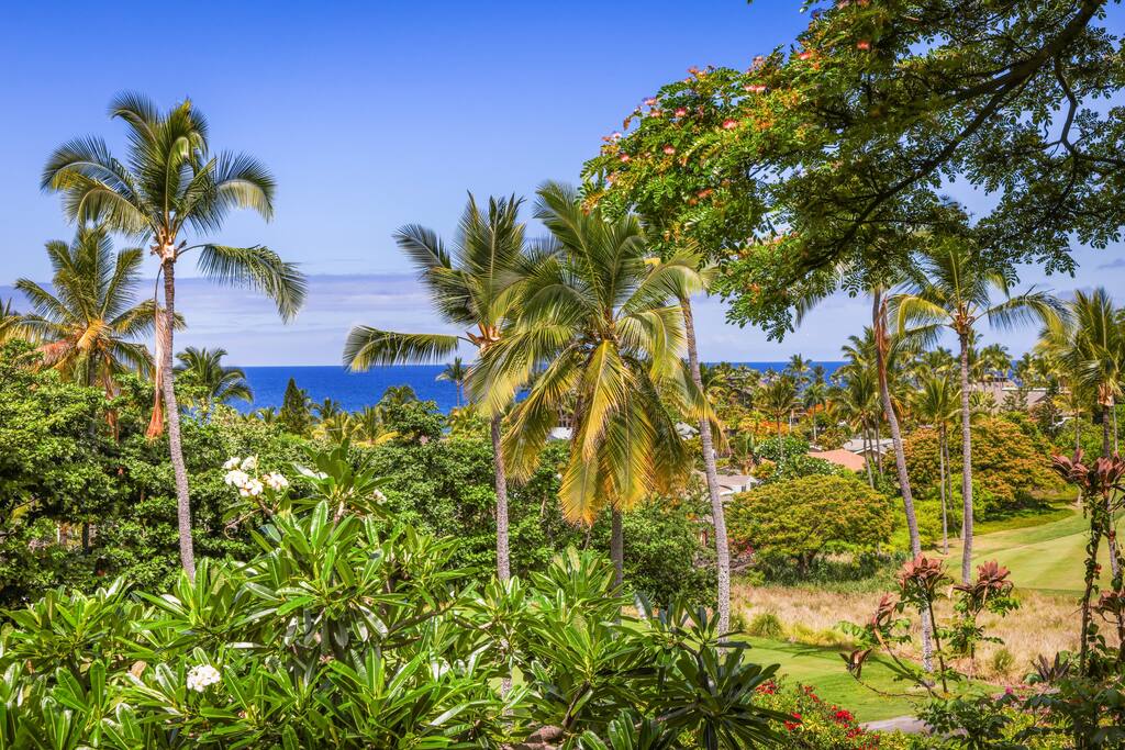 "The view is spectacular."-Stefanie - Oceanview Kona Condo | A/C, 2 Lanais, Near Golf - Kona
