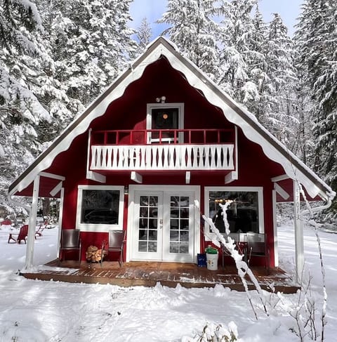 Cabin Vibes w/ Prvt. Spa Steps to Rainier