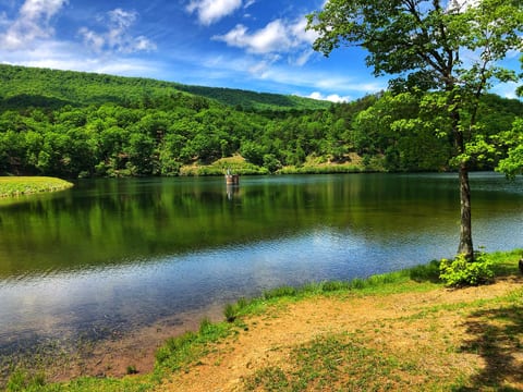 rive ten minutes and you're standing here — Douthat State Park's mirror-still lake stretching between ridge after ridge of Virginia green, quiet and all yours.