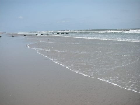 Steps from Wildwood's magnificent beach!
