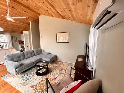 Cozy modern living space