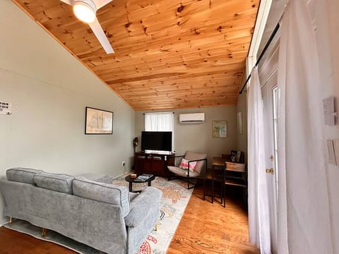 Living room with Roku TV