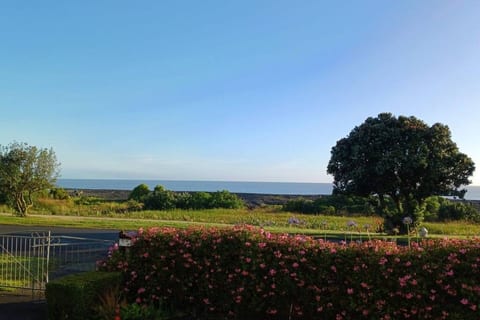 View from the porch in the morning