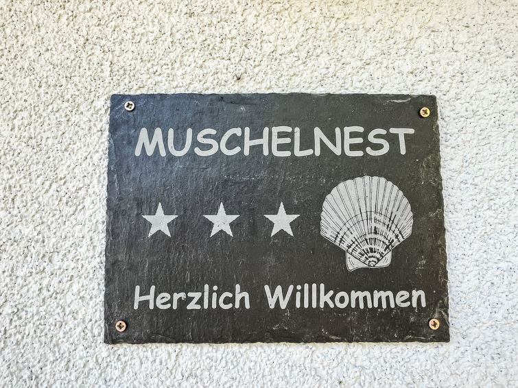 mowennest-muschelnest/