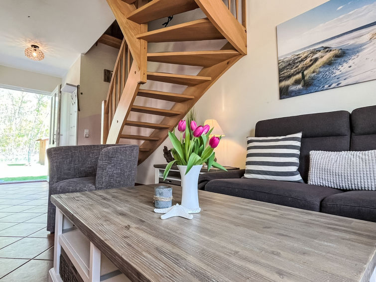 mowennest-muschelnest/