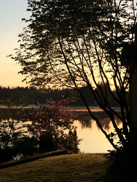 Deer Lake Getaway image 4