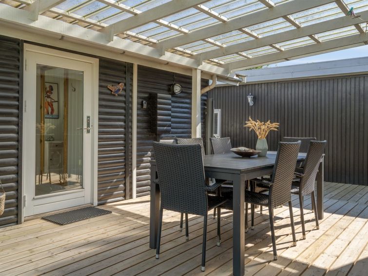 felis-75m-from-the-sea/