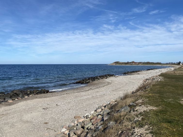 felis-75m-from-the-sea/