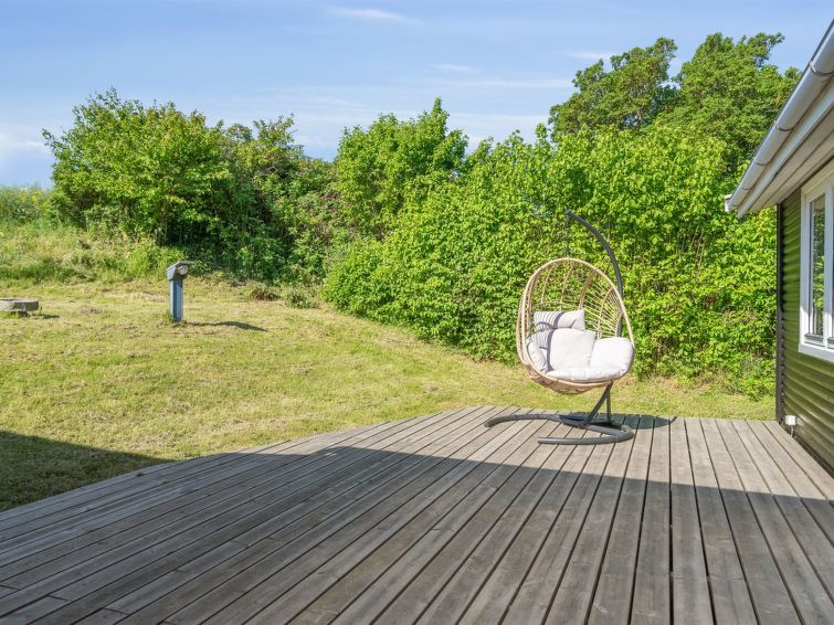 felis-75m-from-the-sea/