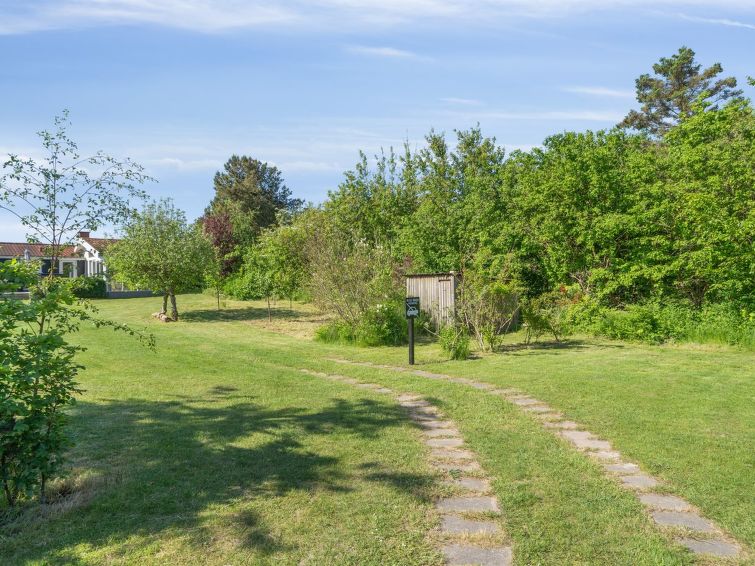 felis-75m-from-the-sea/