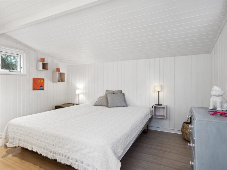 felis-75m-from-the-sea/