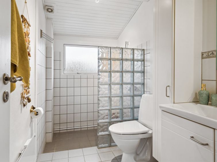 felis-75m-from-the-sea/