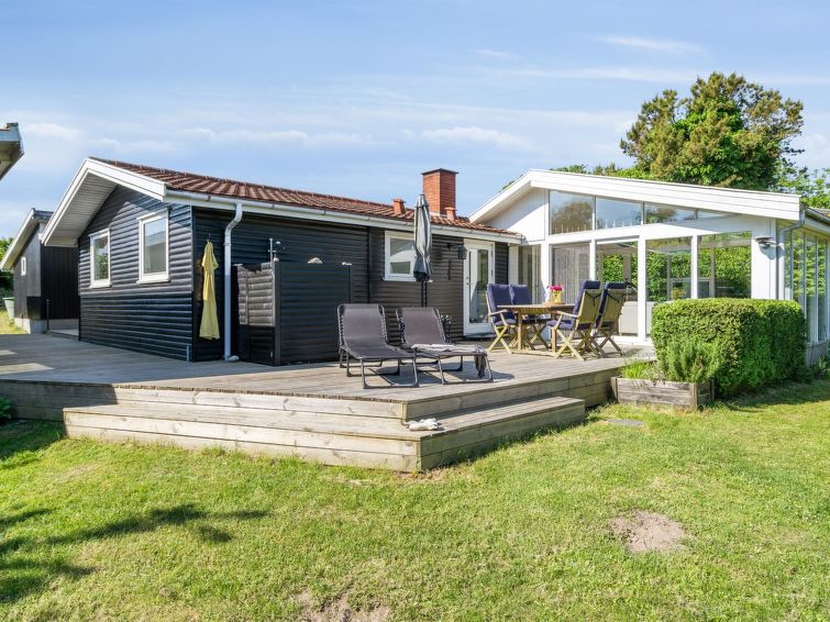 felis-75m-from-the-sea/