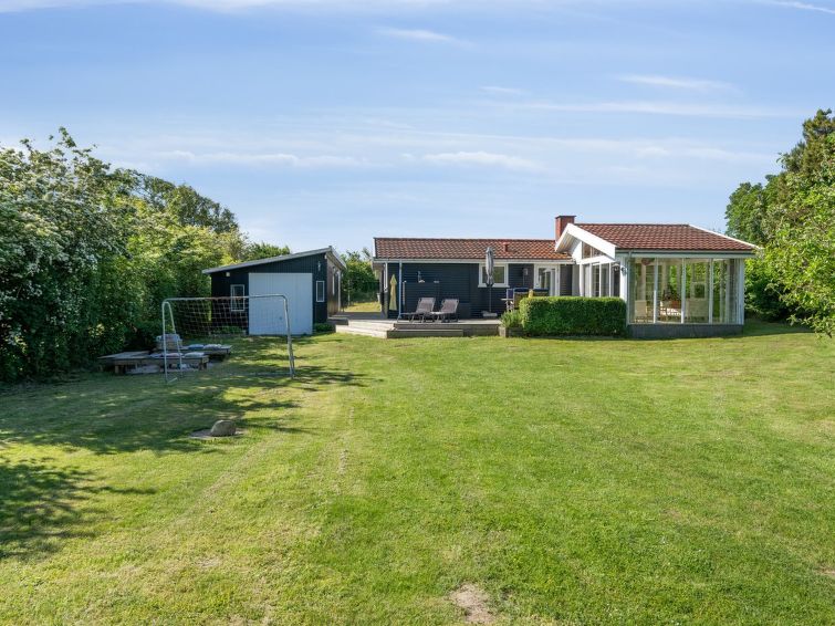 felis-75m-from-the-sea/