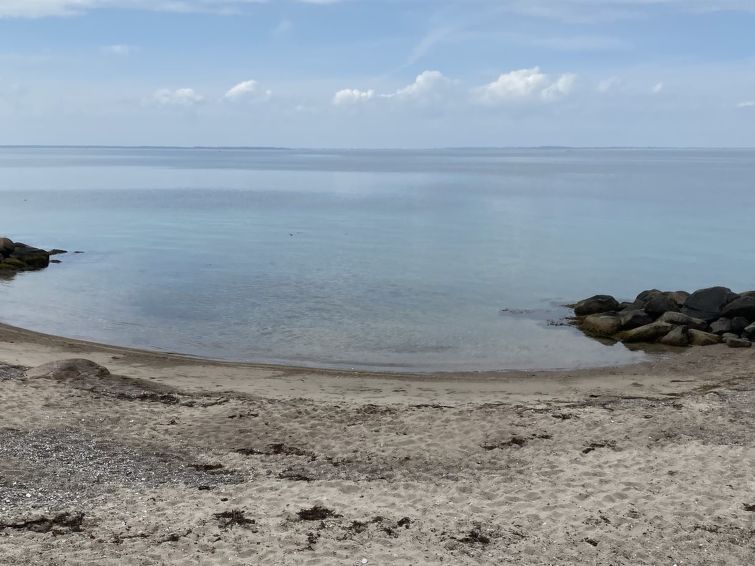 felis-75m-from-the-sea/