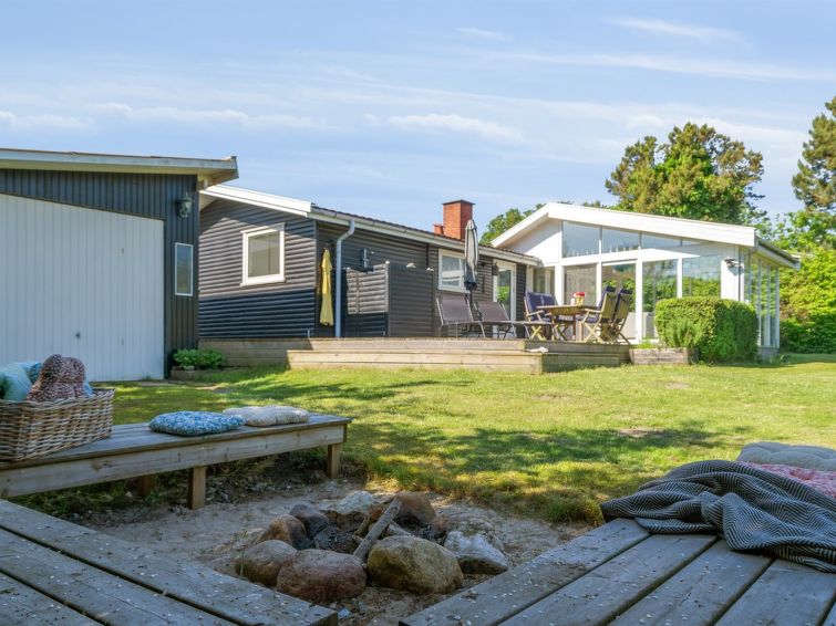 felis-75m-from-the-sea/