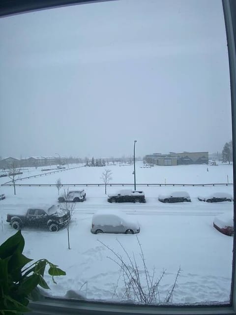 Click from Window (SnowView)
