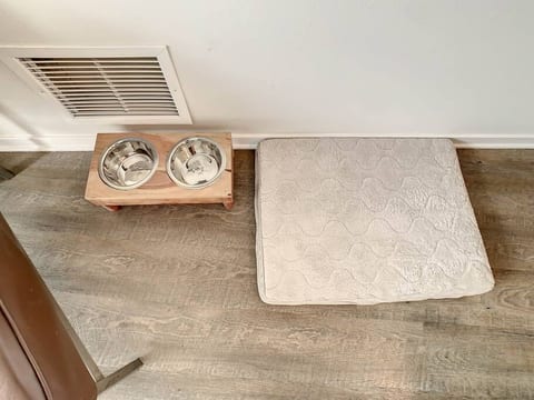 Pet Friendly in Orlando Area near Disney.