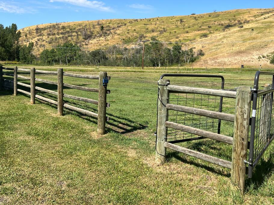 Bridger Canyon Beauty - Bozeman