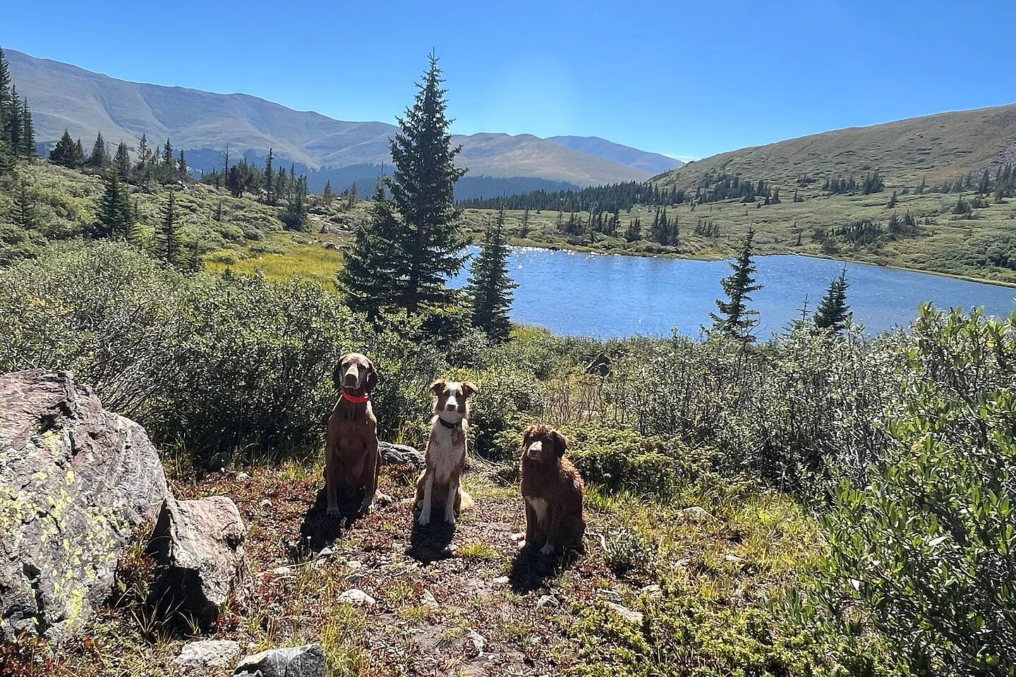 The Red Dogs at nearby Crystal Lake