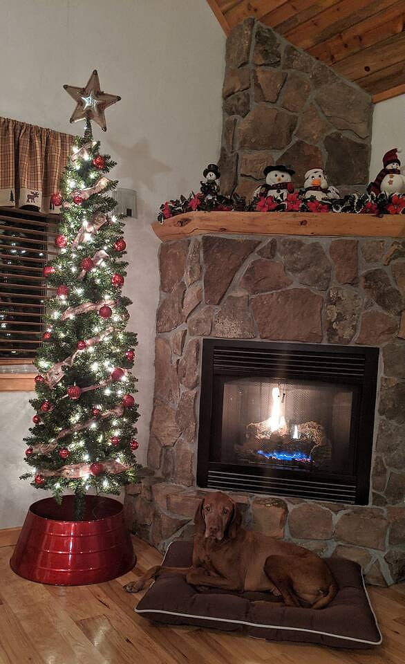 Red Dog Cabin is a great place to spend the Christmas holidays, making memories.