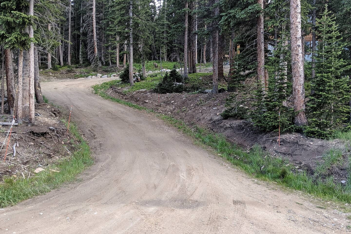 Long driveway with plenty of parking at the top