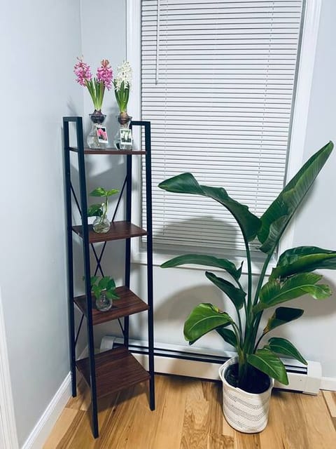 Cozy Gray Home close to NYC / Newark