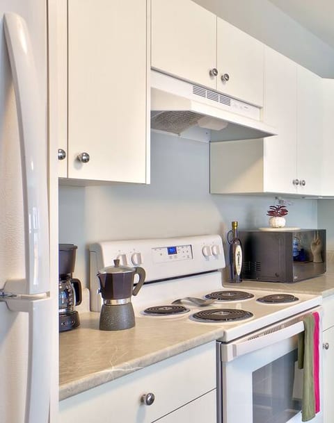 Clean, modern and well-stocked kitchen.