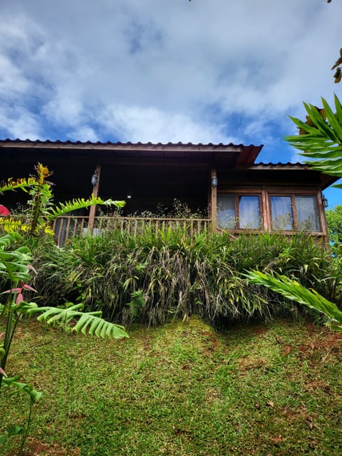 Adventures Await Near Jaco Rainforest & Waterfalls