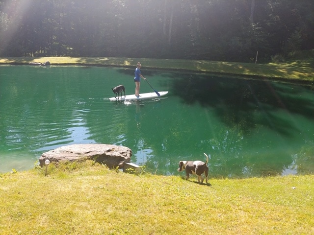 secluded-open-air-cabin-spring-fed-swimming-pond/