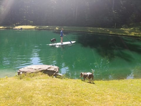 Secluded Open Air Cabin Spring fed swimming pond