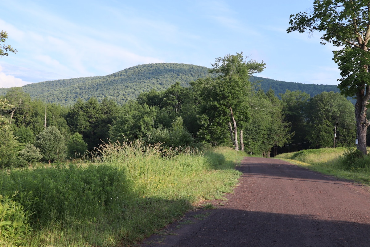 secluded-open-air-cabin-spring-fed-swimming-pond/