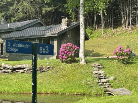 Secluded Open Air Cabin Spring fed swimming pond