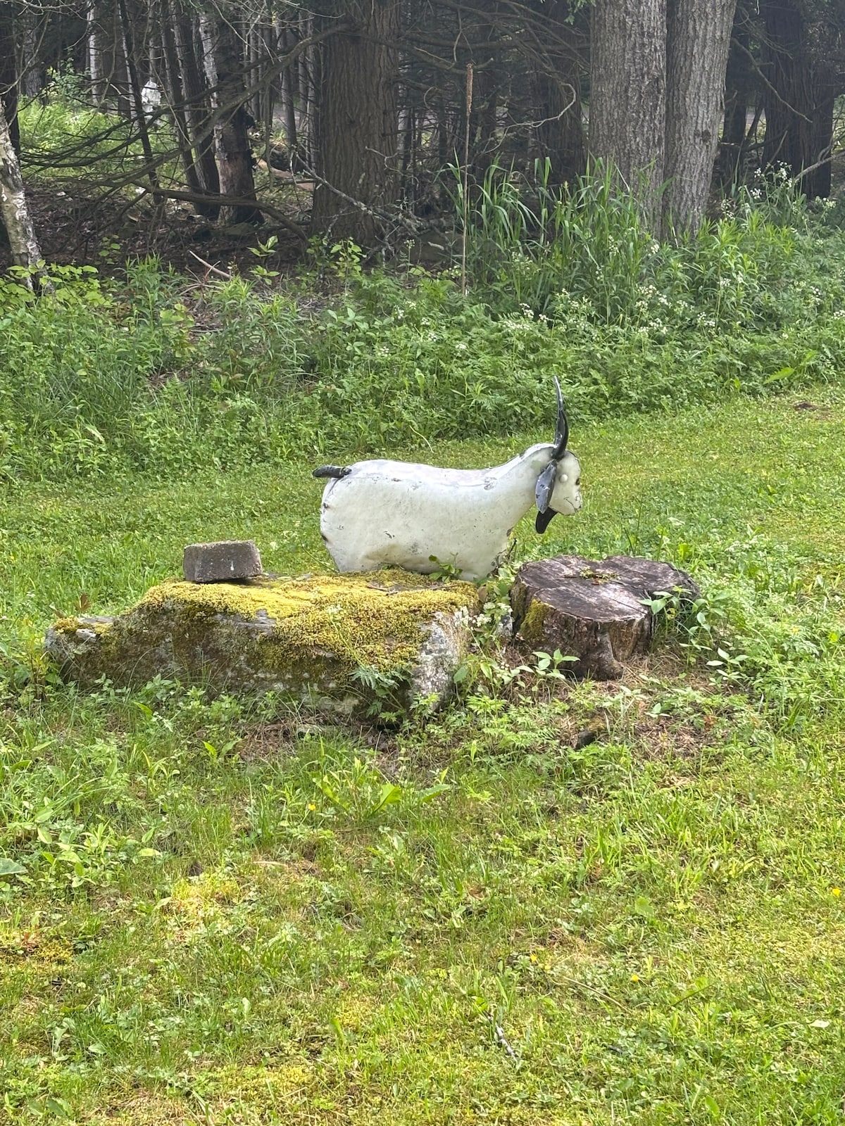 secluded-open-air-cabin-spring-fed-swimming-pond/