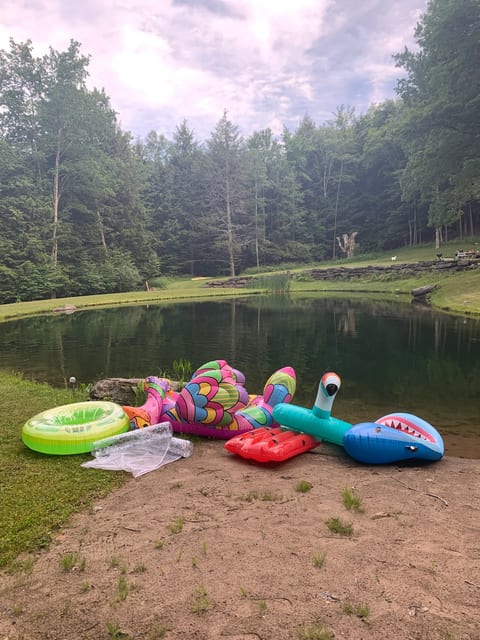 Secluded Open Air Cabin Spring fed swimming pond