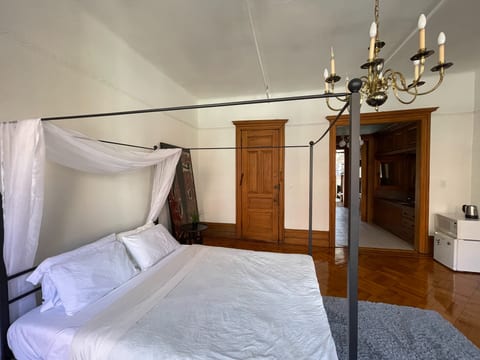 Capacious Brownstone Unit