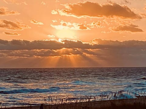 Wake and listen to the sun rise