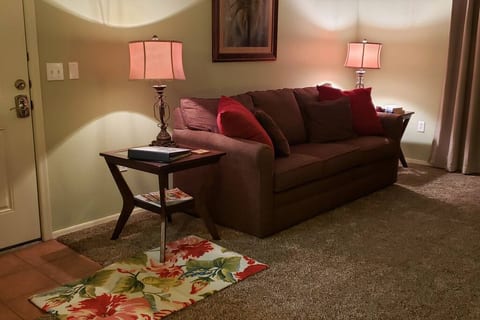 Comfortable living room with plush carpet