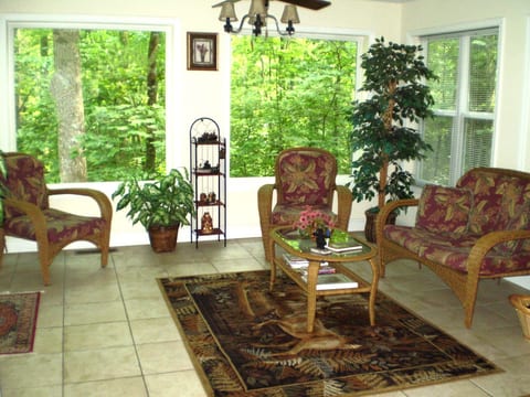 Summer View from Sunroom