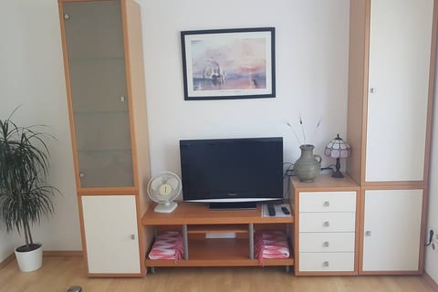 Wohnwand mit viel Stauraum und Flachbildfernseher