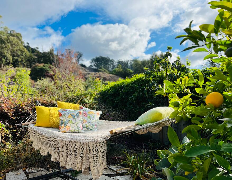 🌿 Serene Sunset Cottage 🌿 – San Francisco Bay View