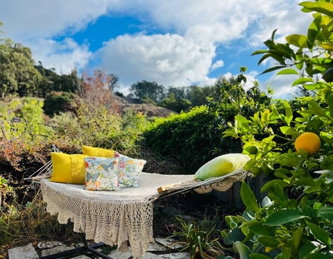 Perfect for daydreaming or reading a book in the hammock