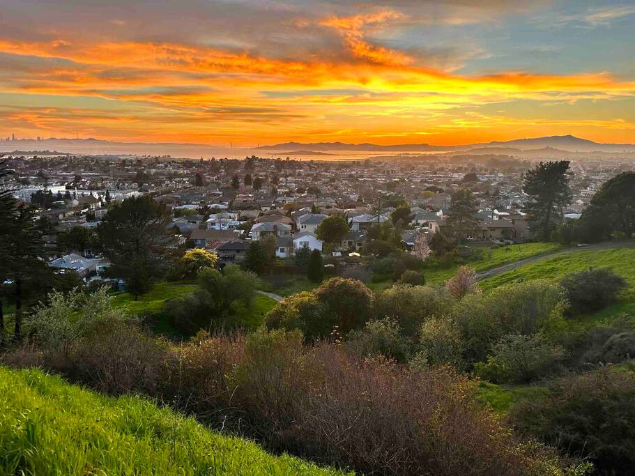 🌿 Serene Sunset Cottage 🌿 – San Francisco Bay View