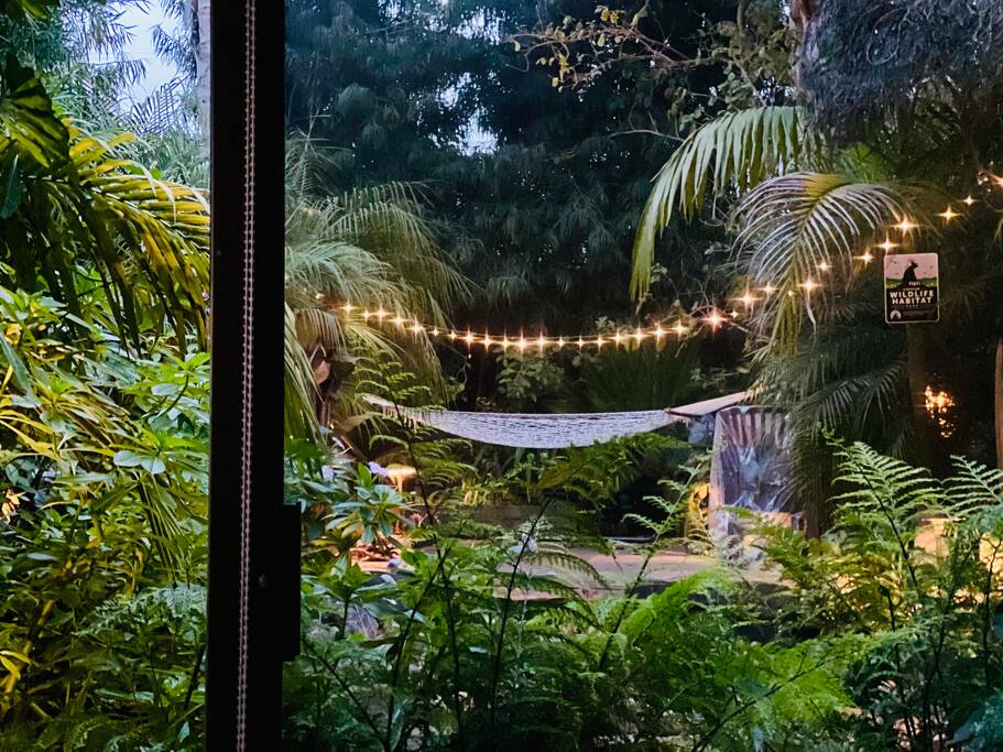 🌿 The L I L Y  P A D 🌿| Tiny Living | Urban Oasis